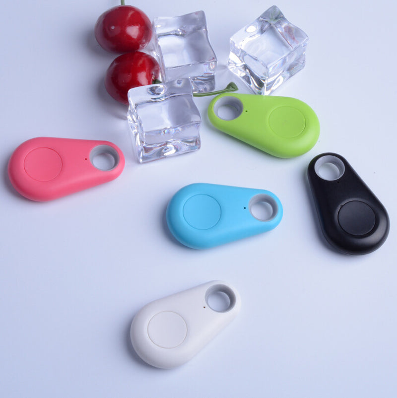 Safety Dog LED Collar