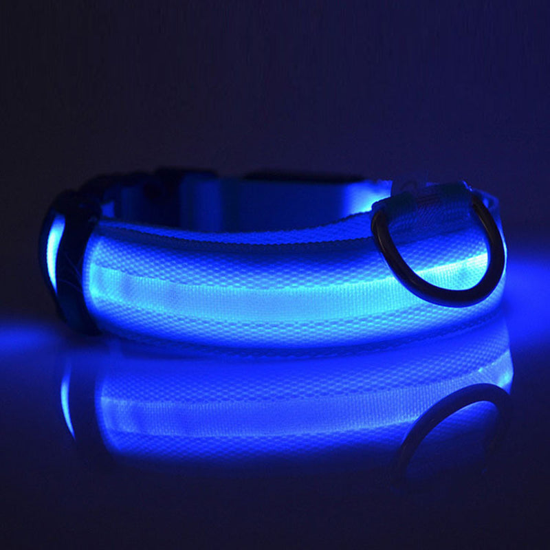 Safety Dog LED Collar